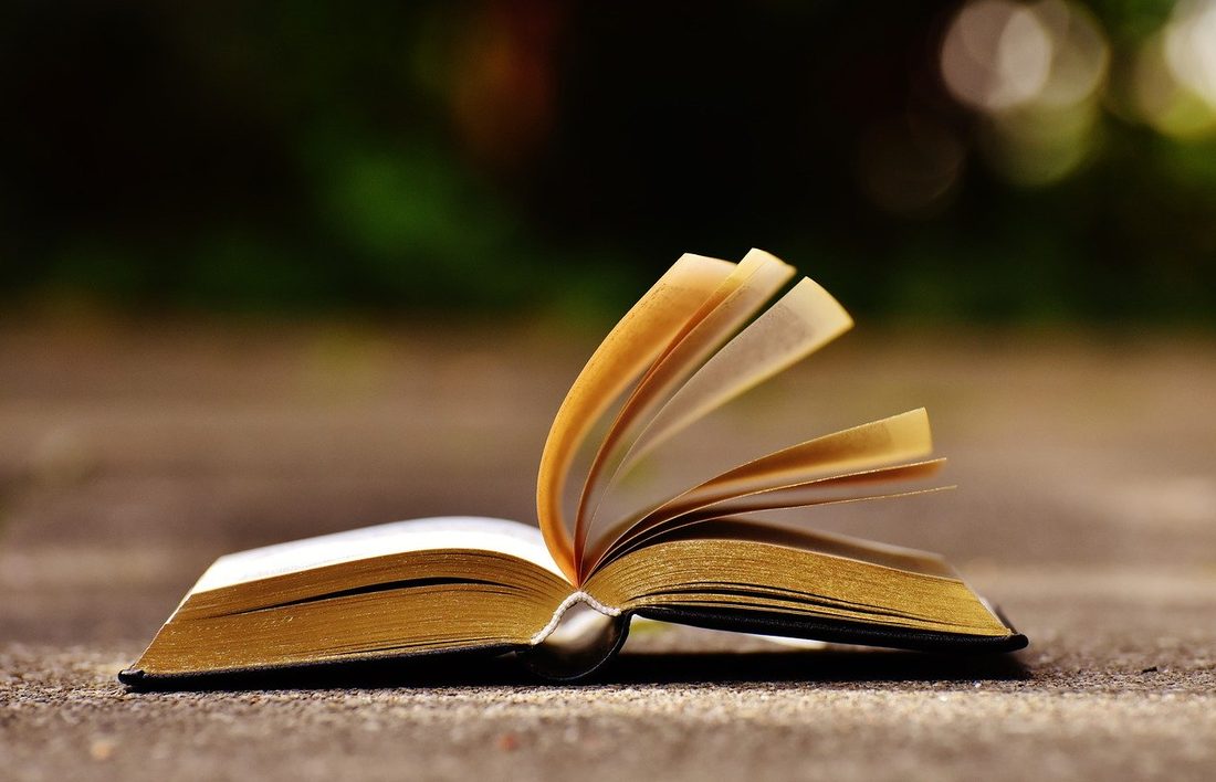 An open book with its pages fanned out